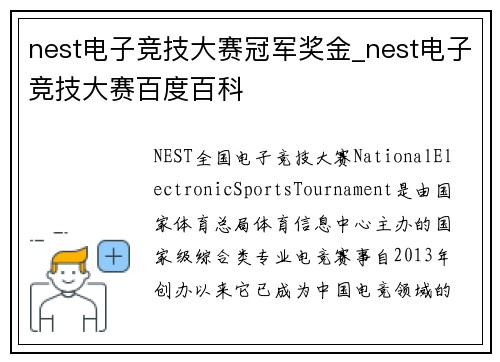 nest电子竞技大赛冠军奖金_nest电子竞技大赛百度百科