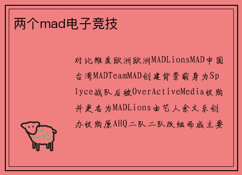两个mad电子竞技